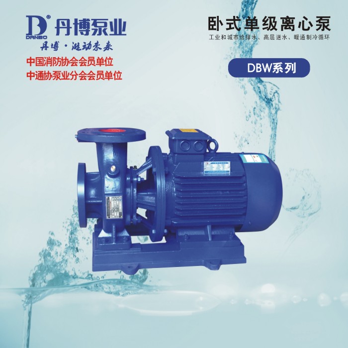 DBW/DBWD 卧式单级单吸离心泵